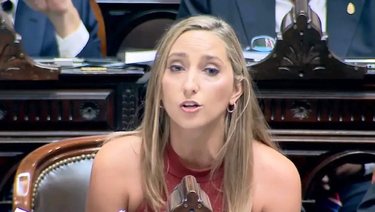 “Usted o Rufus”: la chicana de Julia Strada contra Martín Menem en Diputados
