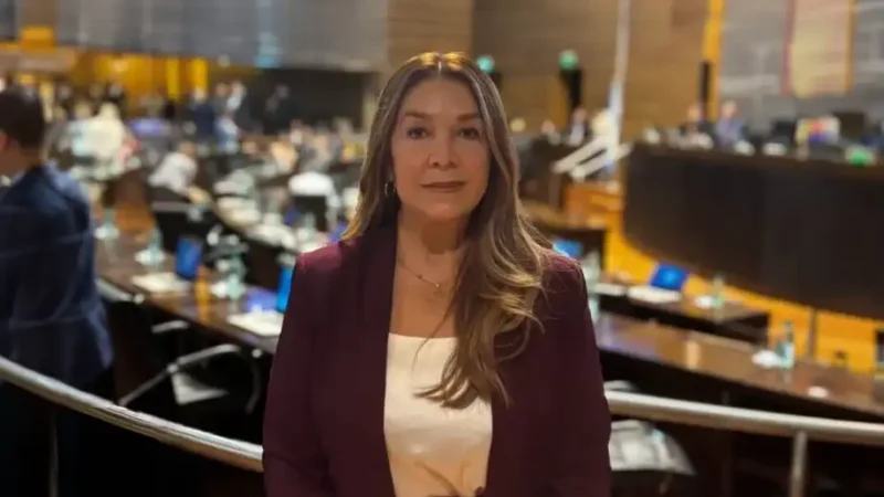 LLA perdió una diputada en Misiones: Nelly Guerrero rompió con los libertarios y se sumó al espacio de Passalacqua